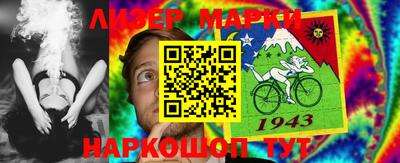 хмурый Сланцы