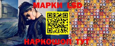 хмурый Сланцы