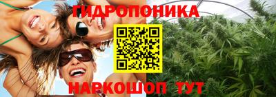 хмурый Сланцы