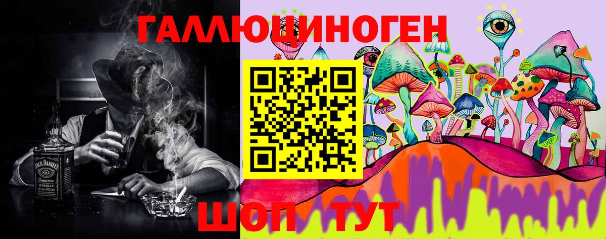 Псилоцибиновые грибы Psilocybe  Вход с VPN  Омск 